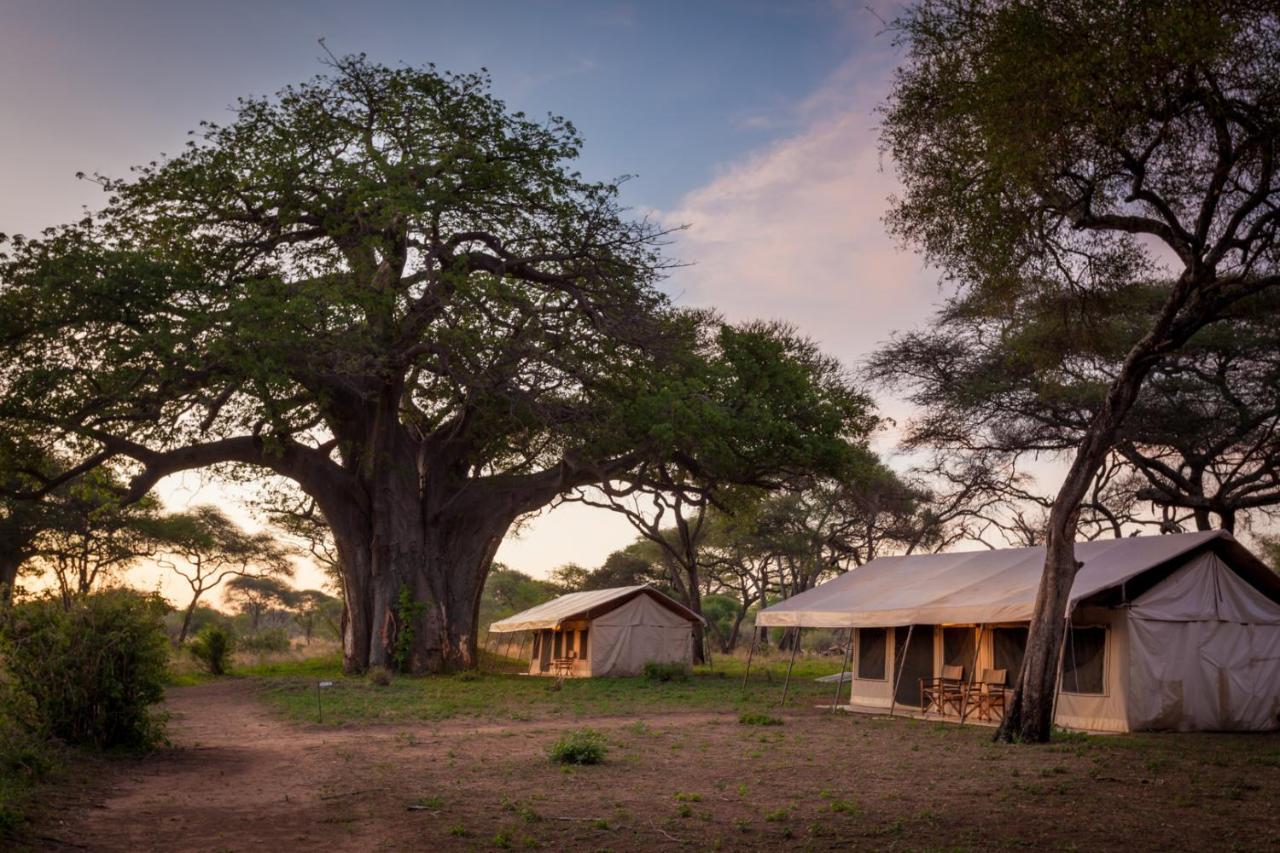 Baobab Tented Camp Kwa Kuchinia 外观 照片