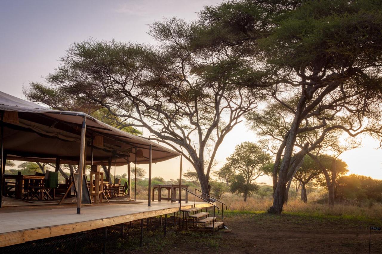 Baobab Tented Camp Kwa Kuchinia 外观 照片