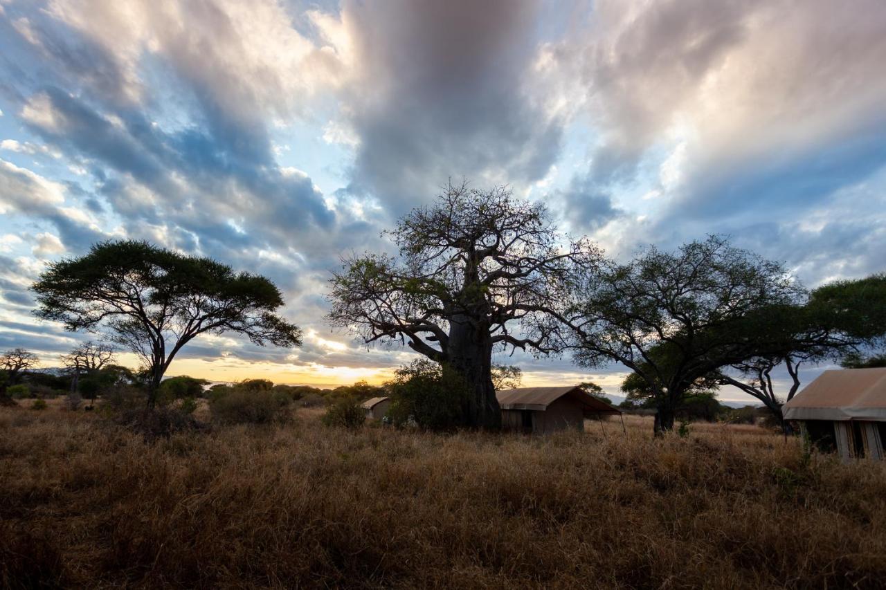 Baobab Tented Camp Kwa Kuchinia 外观 照片