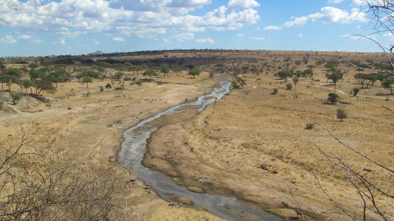 Baobab Tented Camp Kwa Kuchinia 外观 照片